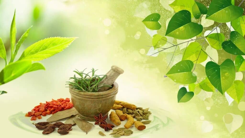 KRM Ayurveda IPO: अंतिम दिन 3 गुना से ज्यादा भरा, GMP दे रहा मुनाफे के संकेत